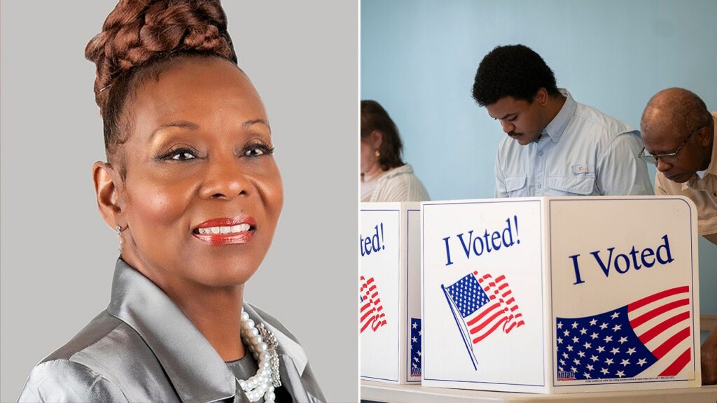 Dead voter case involving Illinois official fuels broader vote-by-mail concerns