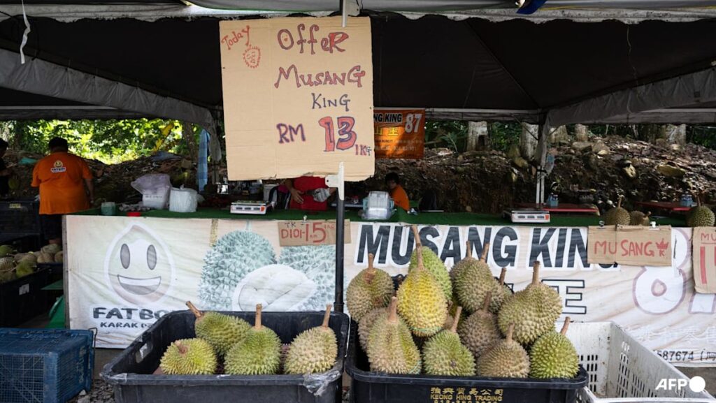 Malaysians feast as ‘durian tsunami’ sends prices tumbling
