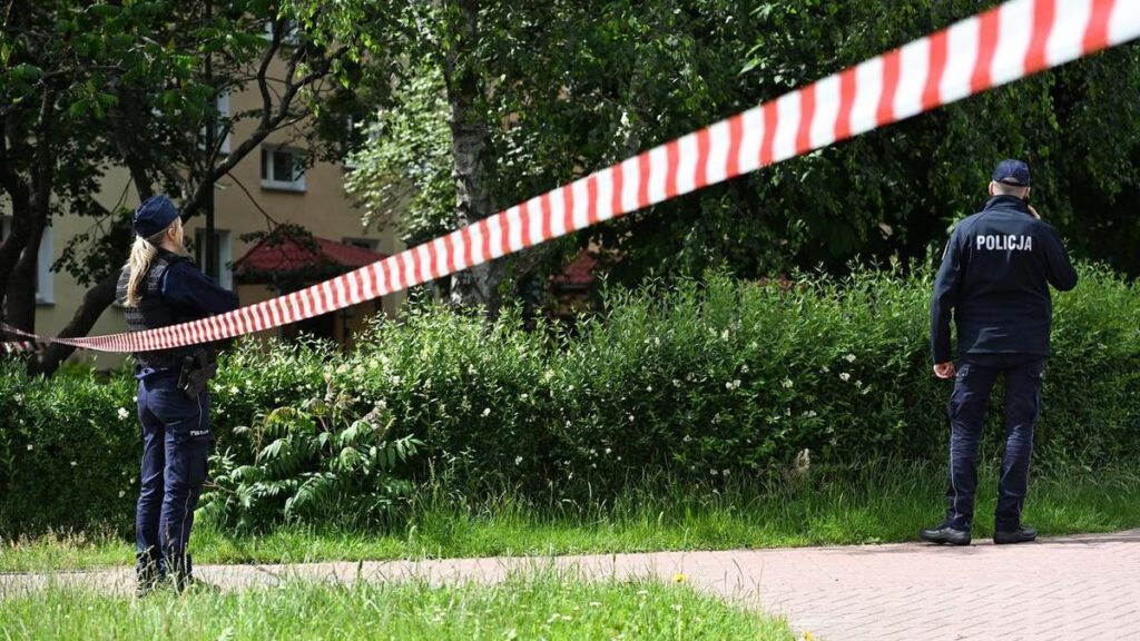 Russian artist critical of Putin shot dead in Poland