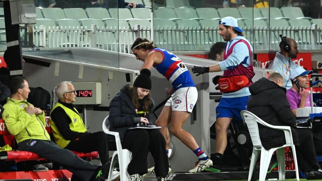 Dogs defender takes down Wizard – and abusive fan