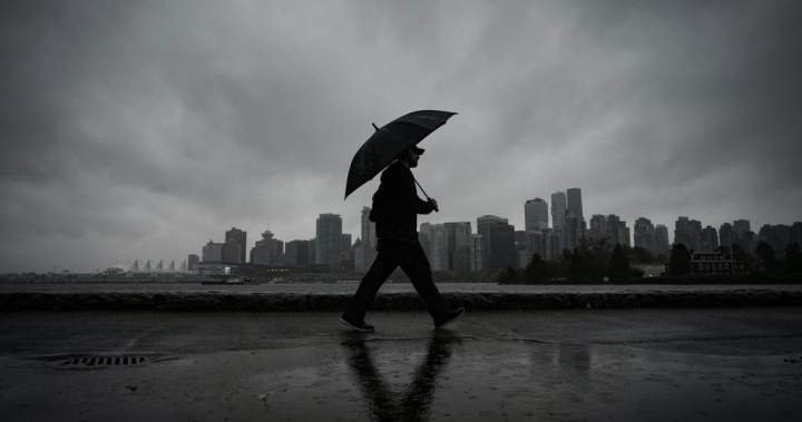 A soggy June could mean mosquitoes ‘plaguing’ many Canadians, experts say – National