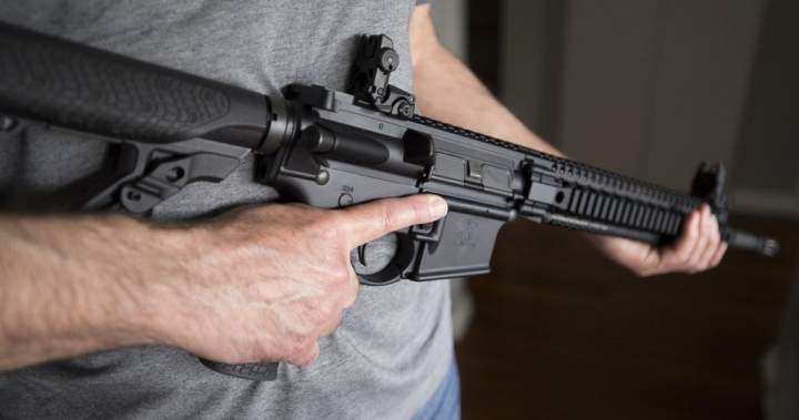 Ottawa extends amnesty for banned firearms amid Supreme Court challenge – National