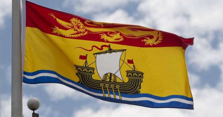 Concerns raised about New Brunswick’s transition to new virtual health-care system – New Brunswick