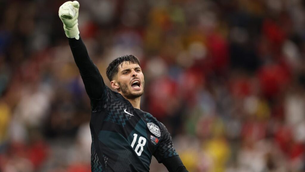 FIFA World Cup: Socceroos manager Tony Popovic says Patrick Beach selection surprised no one in Aussie camp