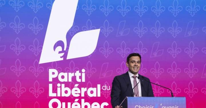 Quebec Liberals promise ‘positive’ approach in new French-language plan – Montreal