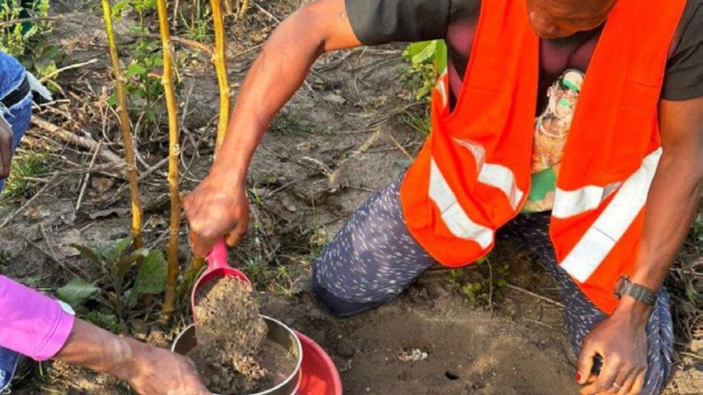 MetalsGrove lines up seven gold targets in West African drill blitz