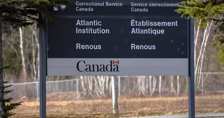 Lawyer pleads case of transgender woman seeking transfer out of men’s prison – New Brunswick