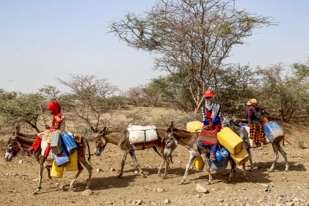 ‘Homes turned into ovens’: Millions of Yemenis swelter amid heat, blackouts | Weather News