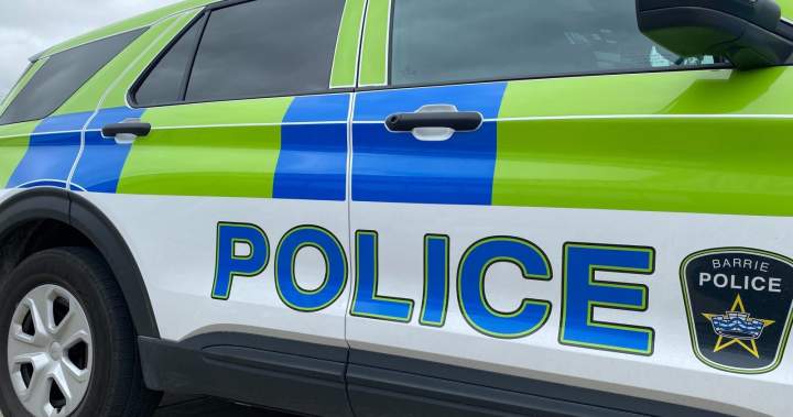 Several people, including child, attacked by loose dog in Barrie