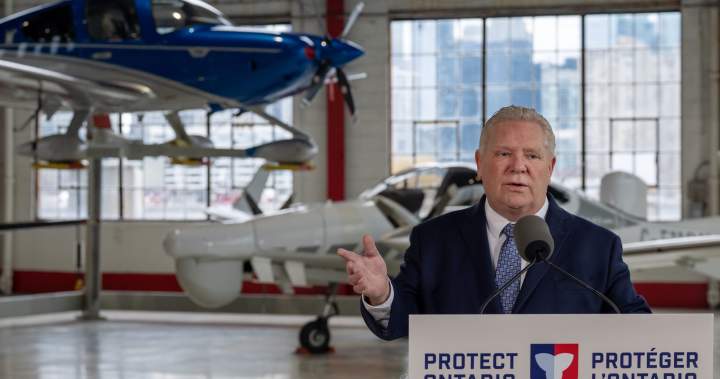 Margaret Atwood joins chorus of figures opposing Toronto island airport expansion – Toronto