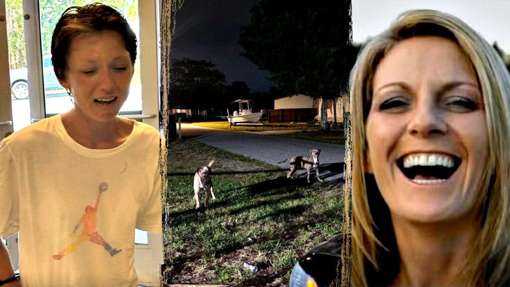 Florida woman mauled to death by neighbor’s pit bulls, dog owner arrested