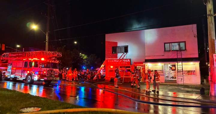 String of Ottawa fires leaves 2 pets dead, some residents displaced