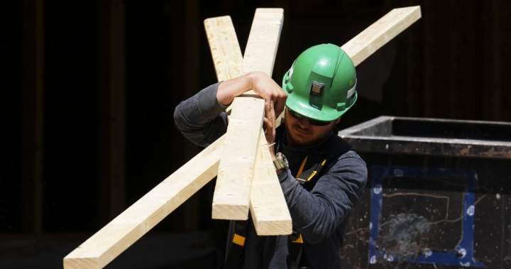 Are we in a recession? ‘Be careful’ with indicators, says Bank of Canada – National