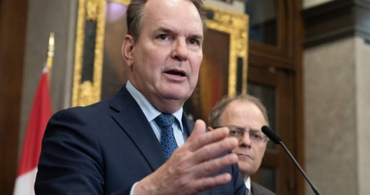 Liberals dismiss ‘tinfoil hat’ privacy fears as lawful access bill passes – National