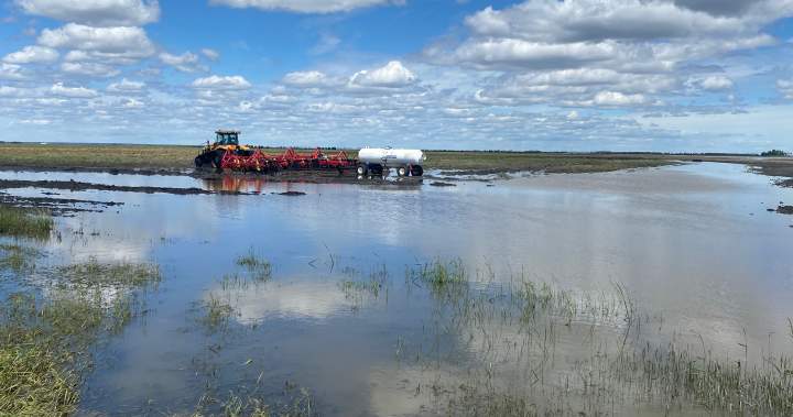 Some Manitoba farmers attempt reseeding after storm damage – Winnipeg