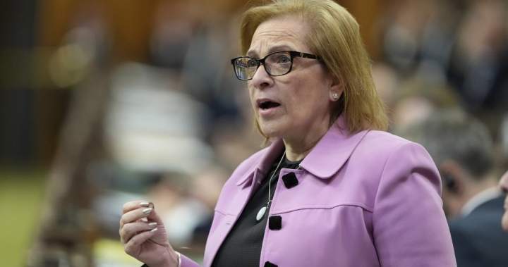 ‘Something’ led to ‘lost Canadian’ citizenship recalls, minister says – National