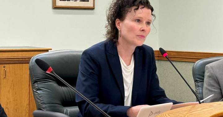 Poor planning, budgeting issues identified as flaws in SPSA by provincial auditor