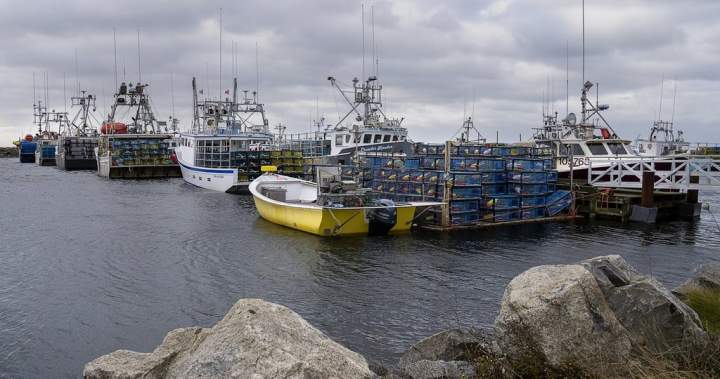 Four rescued from fire aboard Nova Scotia fishing boat in the Bay of Fundy – Halifax