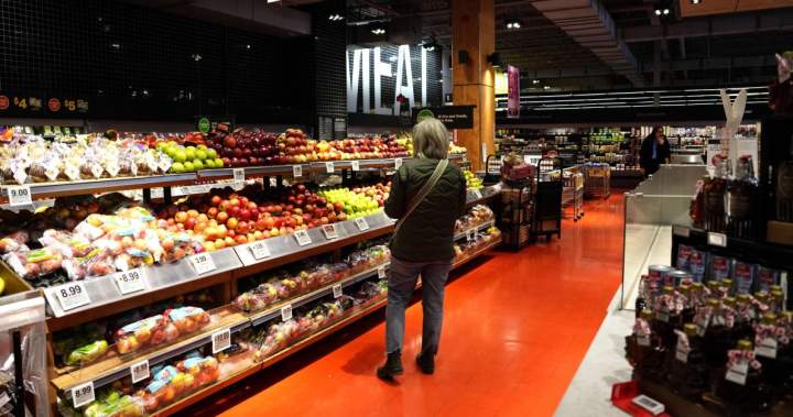 Ottawa aims to cut grocery bills with $3.2B food security strategy – National