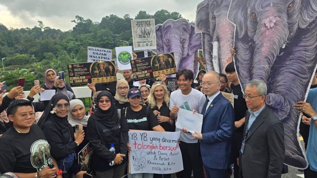Malaysia’s anti-graft agency launches probe into elephants’ transfer to Japan zoo