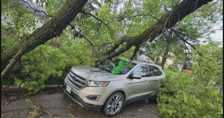 Thousands without power in southern Manitoba after storm causes ‘chaos’ – Winnipeg