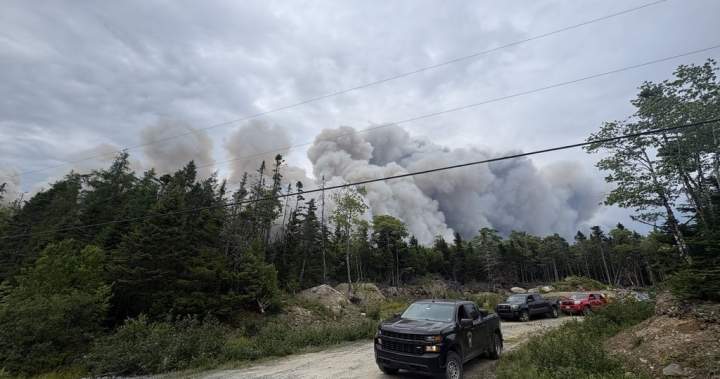 Wildfire northeast of Halifax being held, N.S. officials say – Halifax