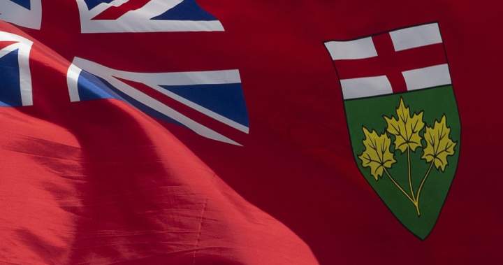 U.K. man sentenced to 3.5 years for death of Owen Sound, Ont., restaurant owner