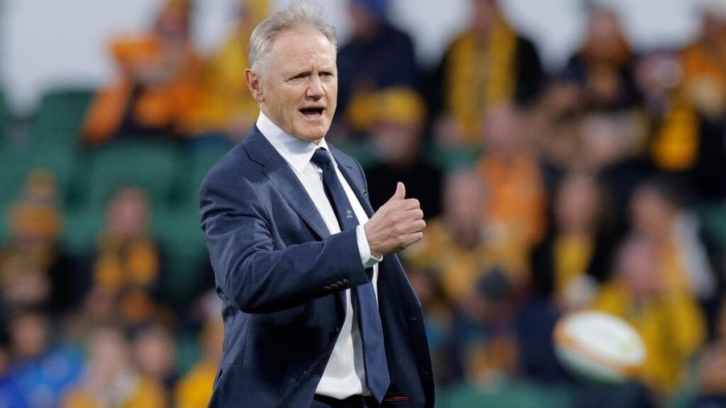 Former Aussie coach Schmidt returns to Ireland role