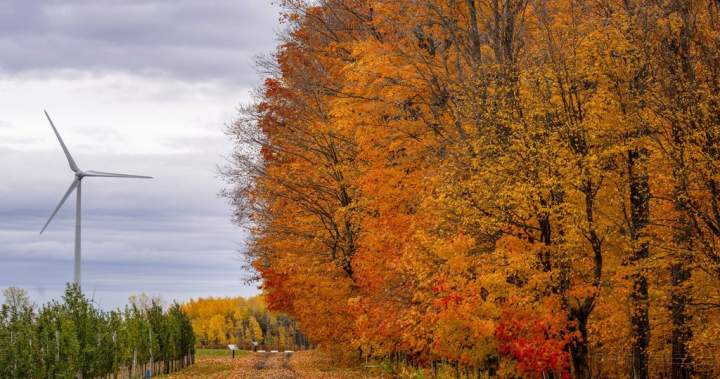 Nova Scotia approves plans for the province’s largest onshore wind farm – Halifax