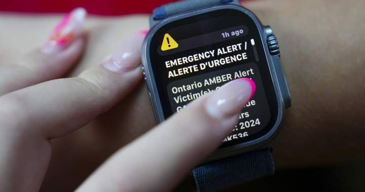 New Brunswick advocates join call for emergency alerts for vulnerable missing people – New Brunswick