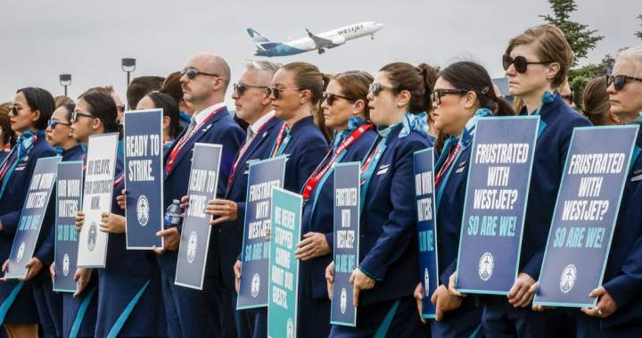 WestJet flight attendants vote in favour of strike as soon as Aug. 2