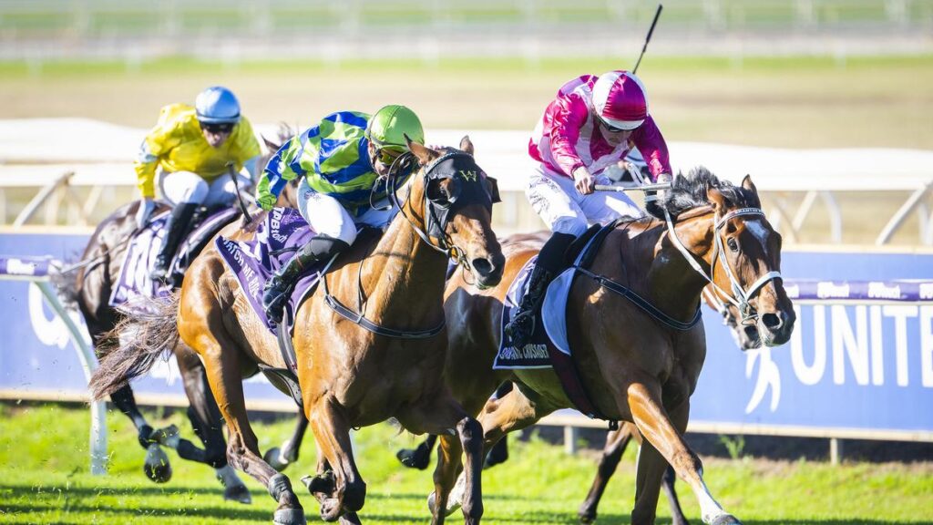 Western Australian galloper Cosmic Crusader draws pole position for first run in Victorian raid