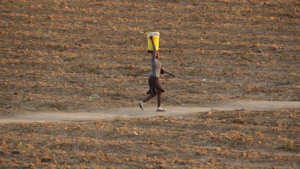 Africa faces massive economic hit from 'super' El Nino