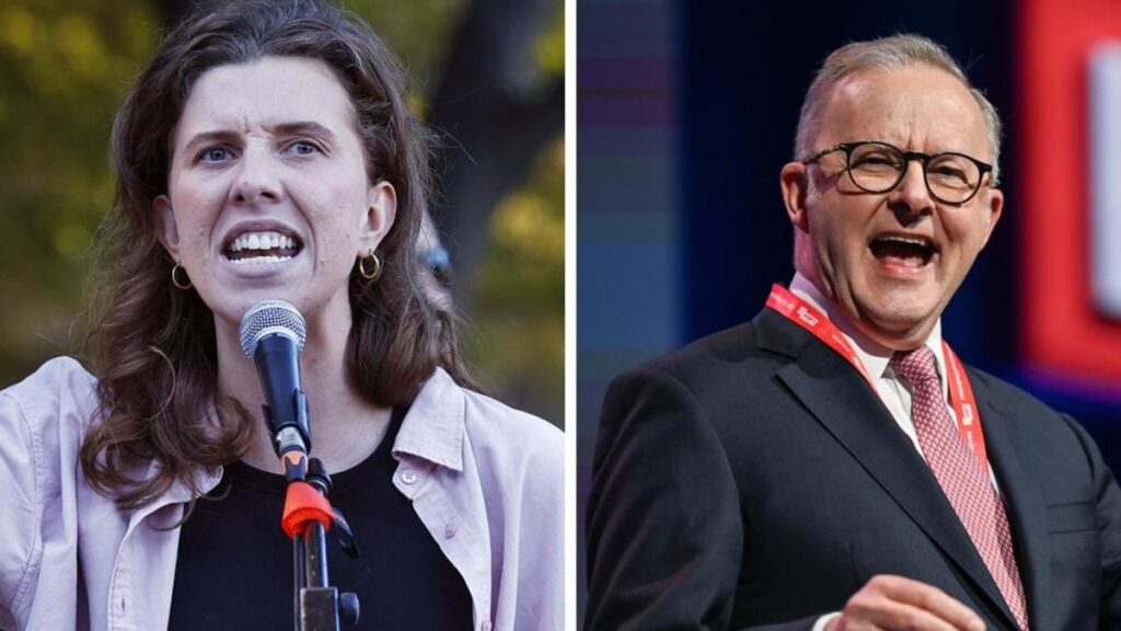 Media influencer Hannah Ferguson announces run as independent candidate against Albo in seat of Grayndler