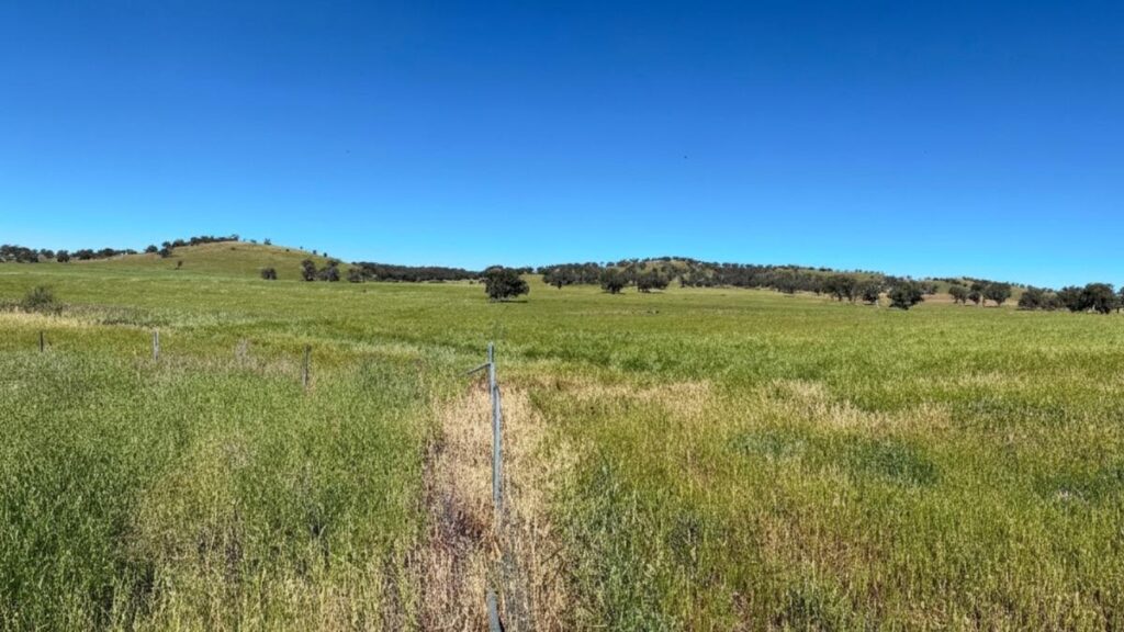 Huge high-grade gold hit for Xpedra at emerging NSW play