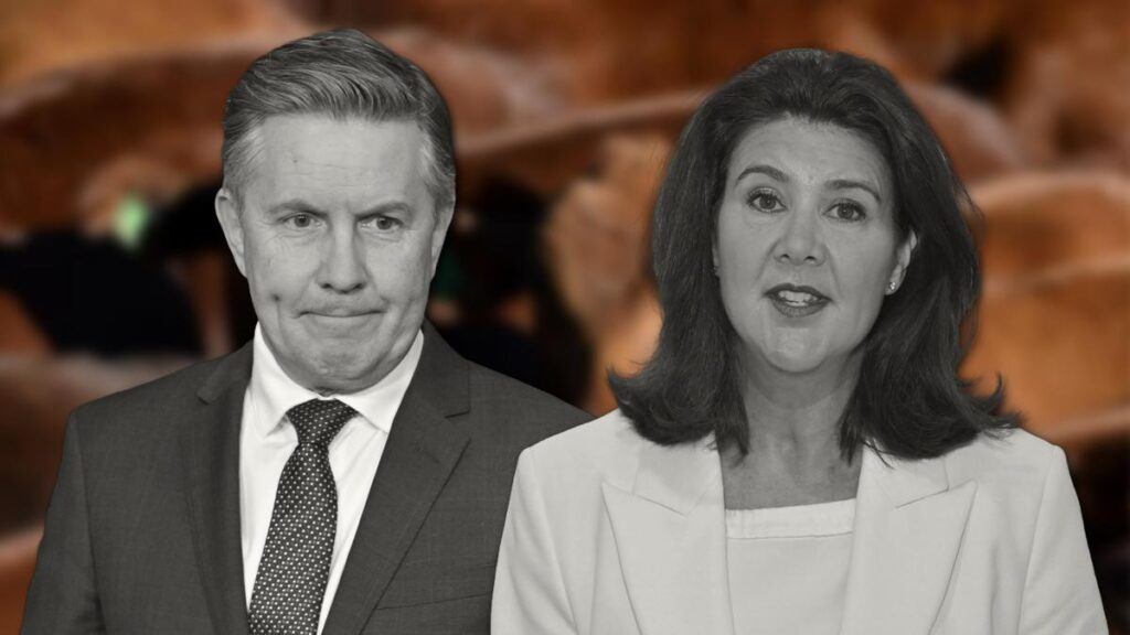 Mark Butler faces heat over legislation to stop ISIS-linked Australians returning in Jane Hume grilling