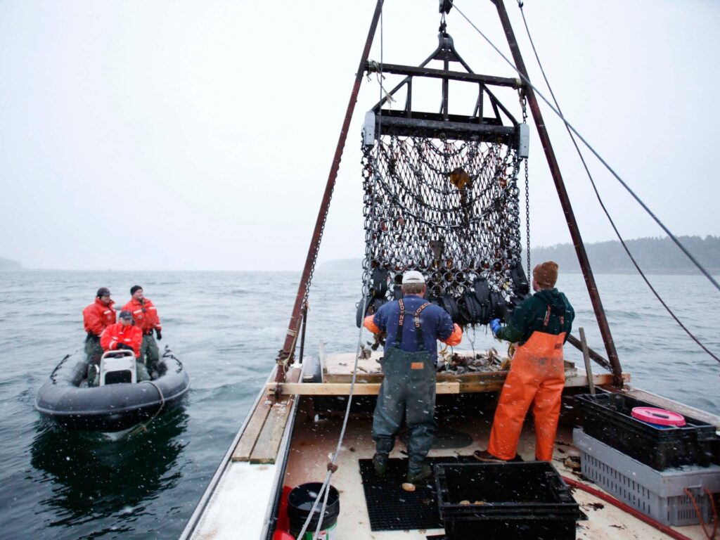 Trump administration aims to cut regulations on US commercial fishing | Donald Trump News