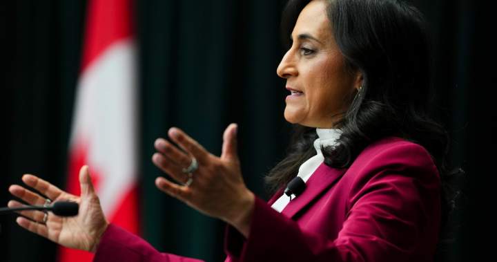 Canada wants more backers for global defence bank, Anand says – National