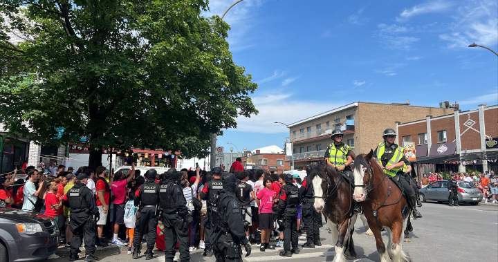 Moroccan communities celebrate historic World Cup win across Canada