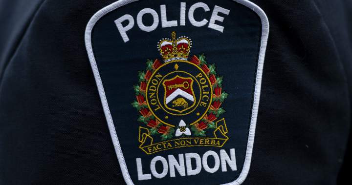 St. Thomas, Ont. man facing charges after woman kidnapped, sexually assaulted – London