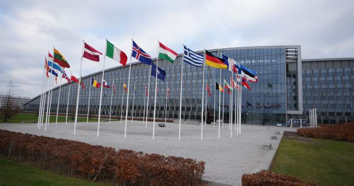 Canadian intern at NATO military HQ arrested in Belgium on spying charge – National