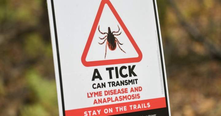 Ticks are spreading anaplasmosis, not just Lyme disease, CMAJ warns – National