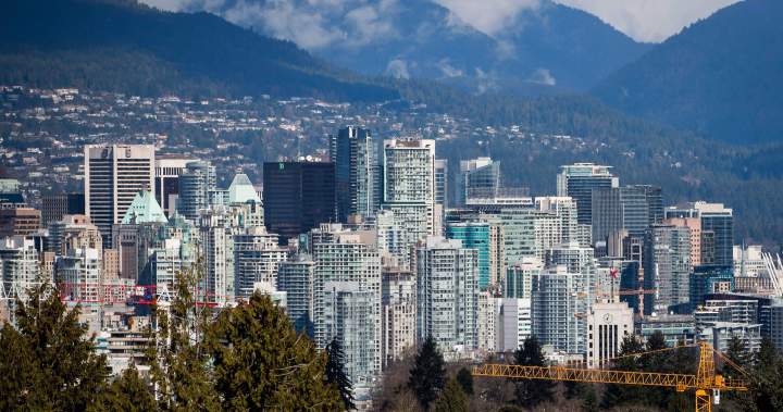 Mom-and-pop investors are outpacing big investors, StatCan data shows – National