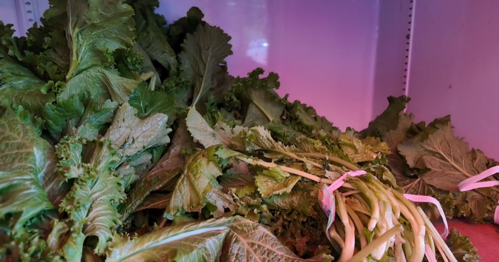 Cyclospora outbreak has many changing eating habits, CBS News poll finds; mixed and partisan confidence in FDA
