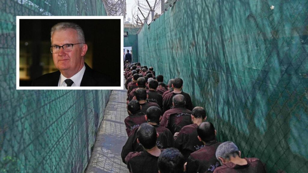 Tony Burke warns Australia would face legal hurdles to block 13 suspected ISIS fighters from returning