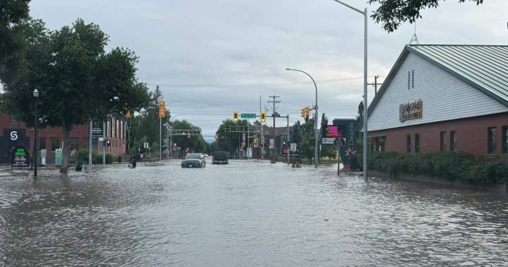 Manitoba city issues state of local emergency amid ‘worsening’ flooding – Winnipeg