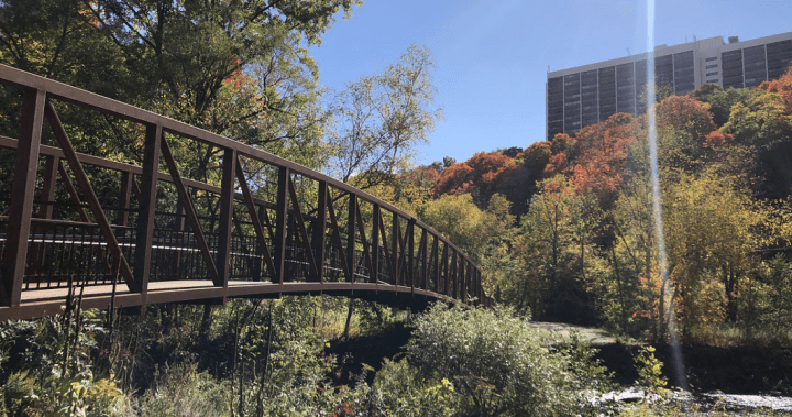 New trail opens in midtown Toronto ravine – Toronto
