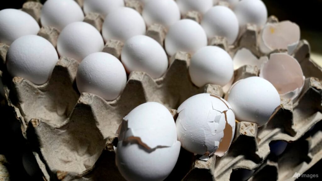 Egg-free school meals scramble politics in India