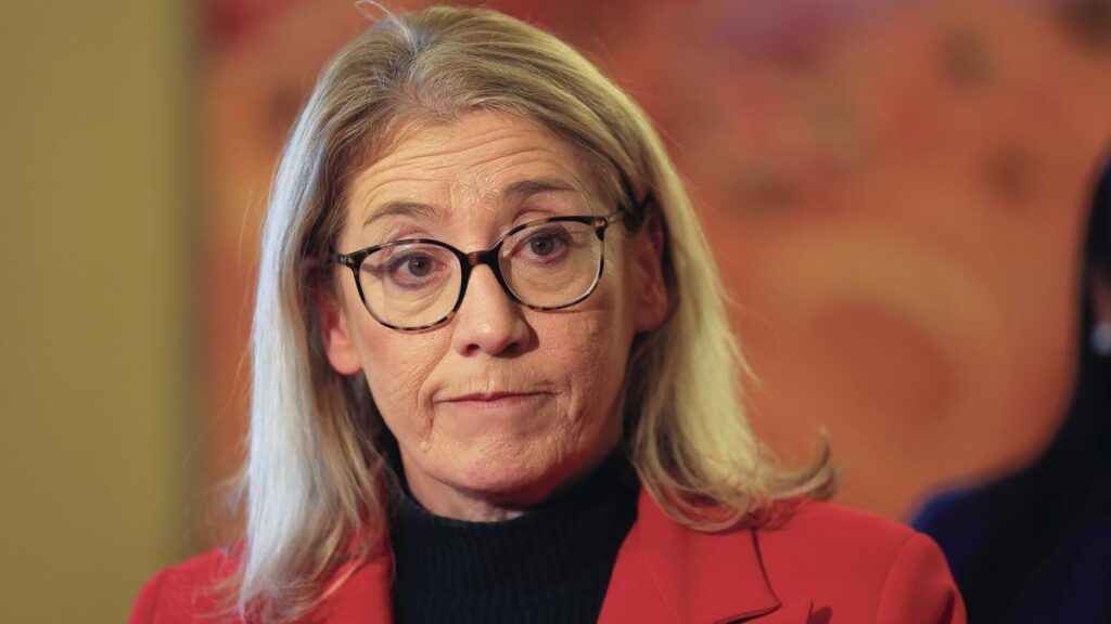 Rita Saffioti takes aim at GST whingers over billion-dollar poker machine revenue