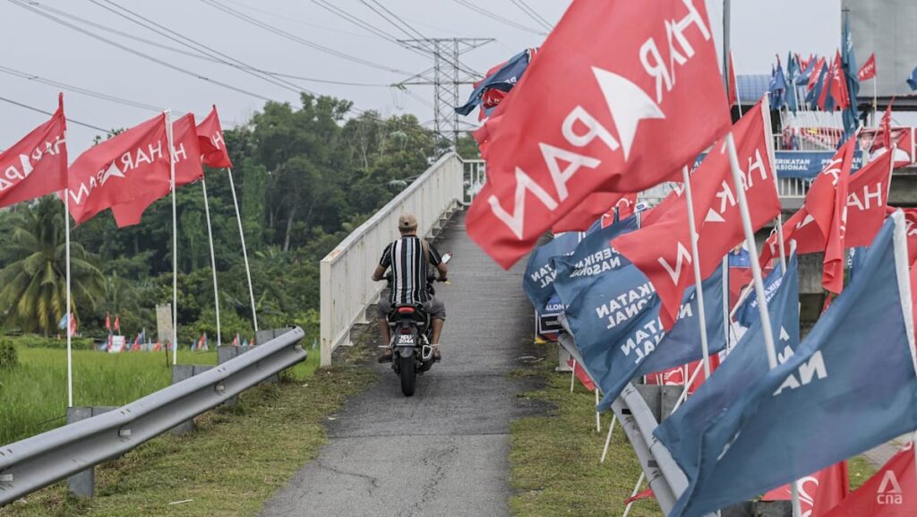 Malaysia’s youth vote in focus as Negeri Sembilan heads to the polls